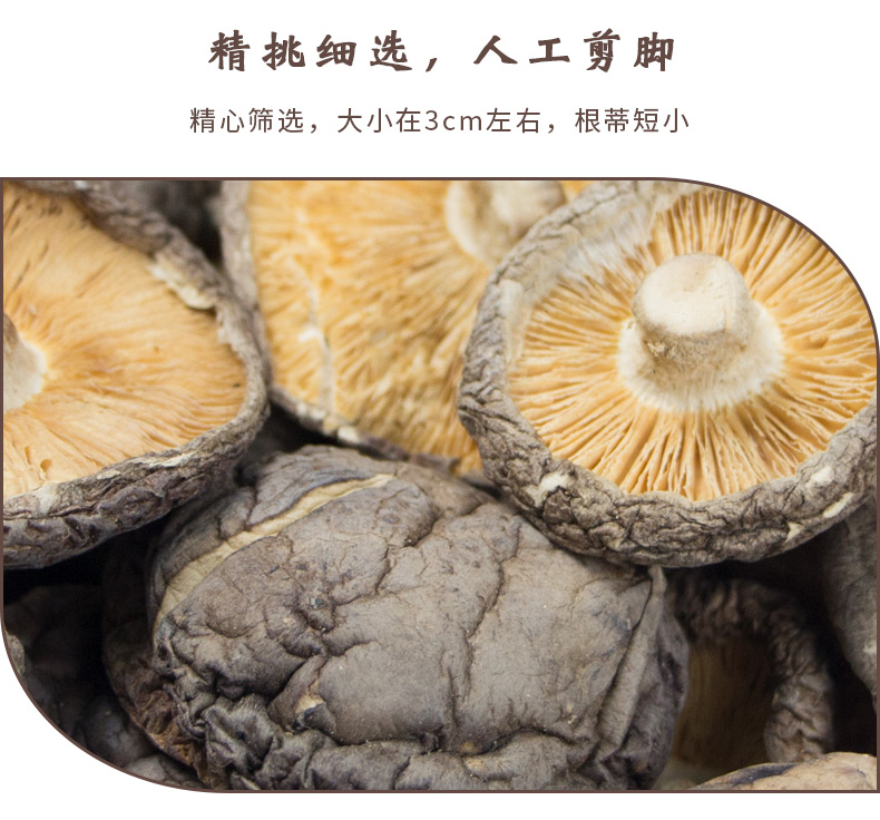 香菇描述新_03.jpg