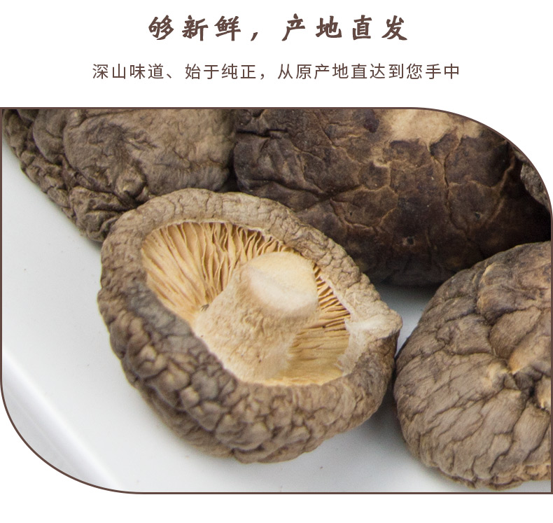 香菇描述新_04.jpg